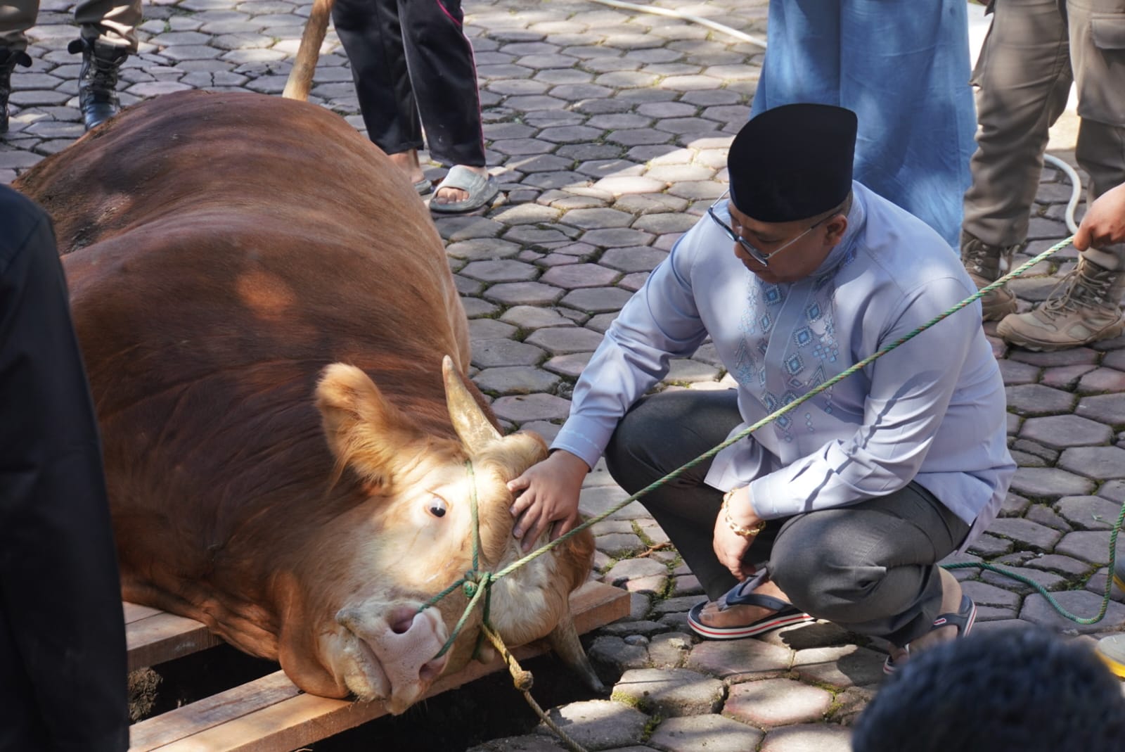 1.170 Kupon Daging Kurban Dibagikan, Pemko Utamakan Warga Terdampak Bencana