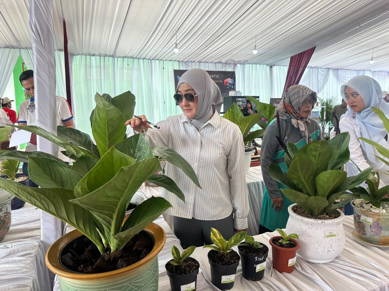 Lomba Tanaman Hias Meriahkan Koi Show 2026 di Padang Panjang